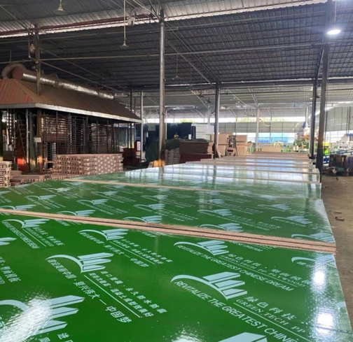 High-Strength Plastic Formwork